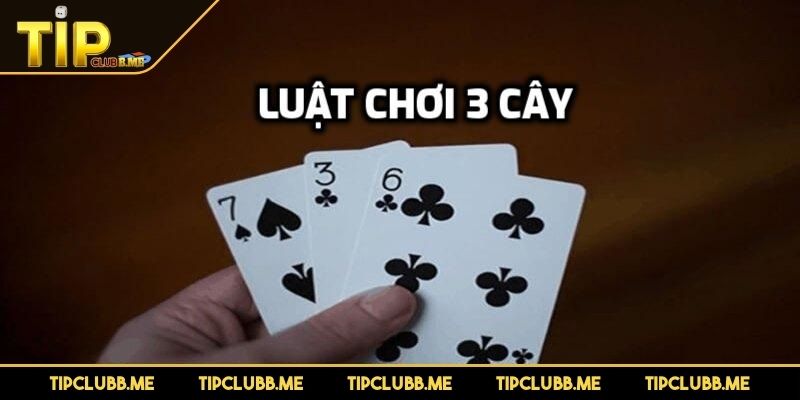 Luật tính điểm và các trường hợp ngoại lệ